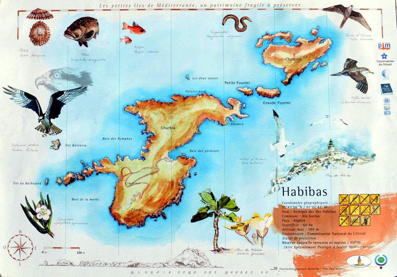 LES ILES HABIBAS DE PIERRE GONZALES (1).JPG